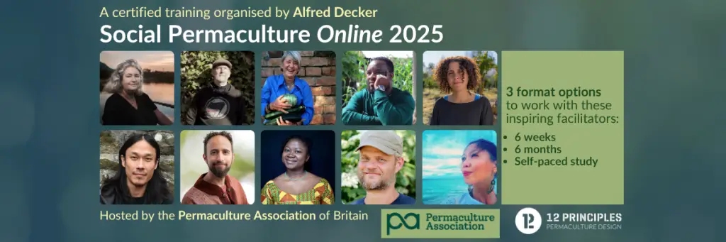 social permaculture online