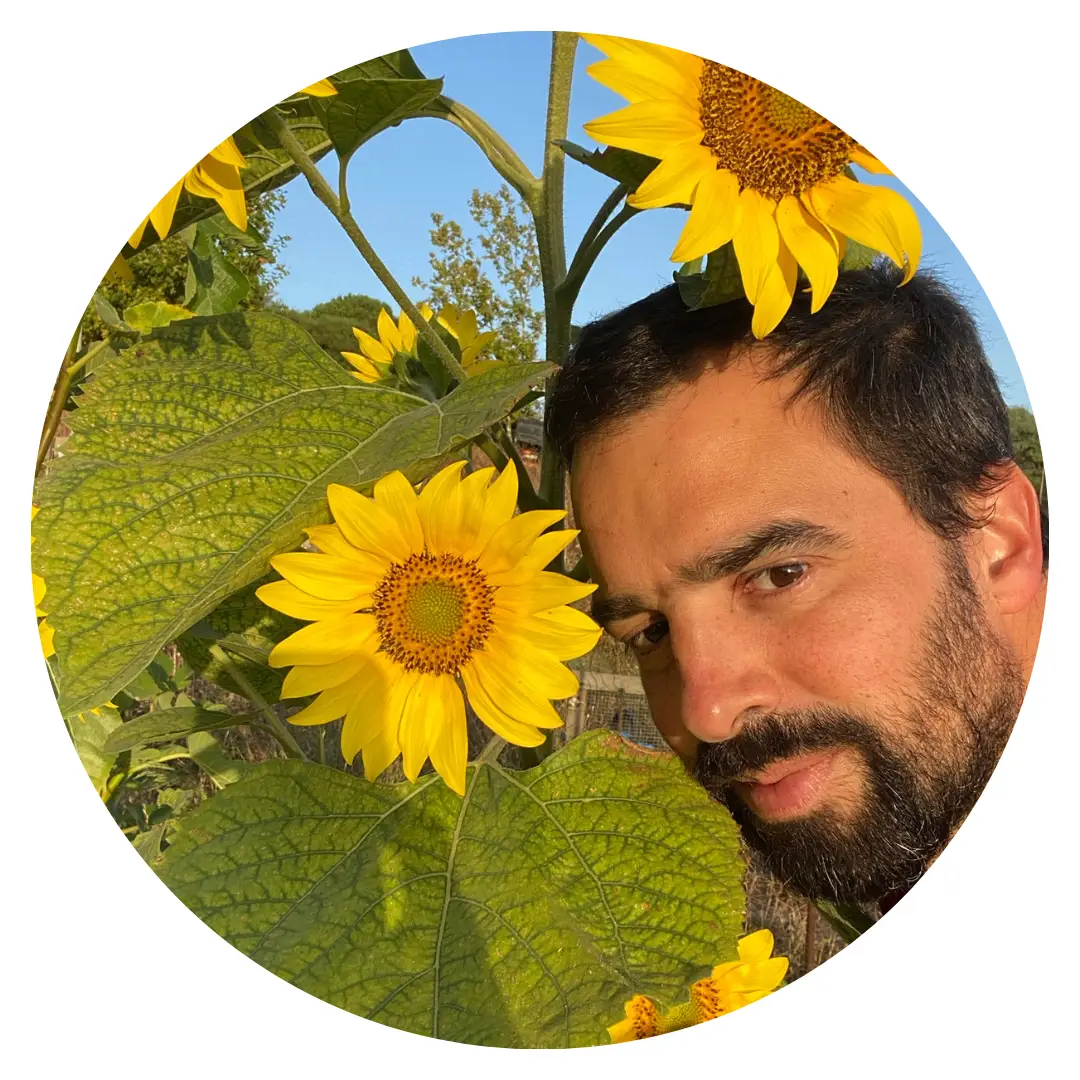 Tiago Ferreira